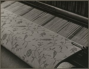  autorstwa Lewis Wickes Hine