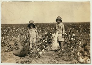 Jewel i Harold Walker, 6 i 5 lat, zbierają od 20 do 25 funtów bawełny dziennie w Geronimo, Comanche County Oklahoma, 1916 autorstwa Lewis Wickes Hine