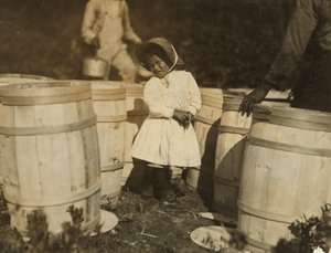 Mary Christmas, zaledwie trzyletnia, zmuszona do zbierania żurawin rozłupanych w beczkach przez jej dziadka, Week