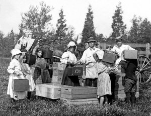 Nieznany obraz autorstwa Lewis Wickes Hine