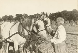 Bez tytułu, ca. 1935. autorstwa Lewis Wickes Hine