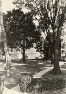 Bez tytułu, ca. 1935. autorstwa Lewis Wickes Hine