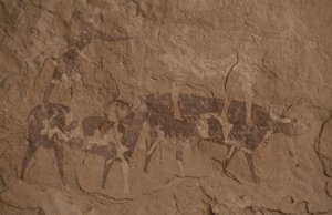 Bydło i postacie ludzkie, Malarstwo jaskiniowe, Oued in Djeran, Near Djanet, Tassili n