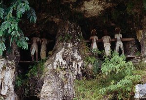 Nisze pogrzebowe z figurami kostnicy Tau Tau, wioska Marrante, Tana Toraja, wyspa Sulawesi, Indonezja autorstwa Unbekannt Unbekannt