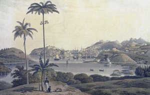 Widok miasta św. Jerzego na wyspie Grenada, zaczerpnięty z posiadłości Belmont, ryty przez Williama Daniella (1769-1837), ok. 1810 autorstwa Lieutenant Colonel J. Wilson