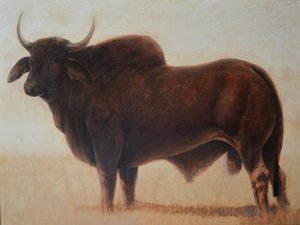 Byk bramiński autorstwa Lincoln Seligman