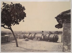 Potworny pistolet Tanjore, z „Widoków fotograficznych w Tanjore i Trivady”, Madras