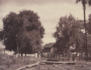 Tsagain Myo: Widok w pobliżu rzeki Irrawaddy autorstwa Linnaeus Tripe