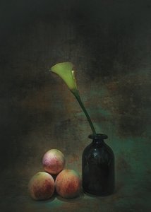  autorstwa Liu Xing