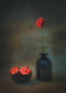  autorstwa Liu Xing