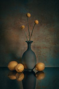  autorstwa Liu Xing