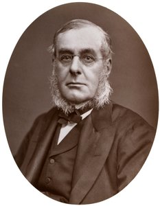 Admirał Sir Richard Collinson, KCB, FRGS, zastępca mistrza Trinity House, 1877. autorstwa Lock and Whitfield