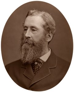 Książę Abercorn, Lord Porucznik Irlandii, 1876. autorstwa Lock and Whitfield