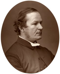 Rev Canon Farrar, DD, FRS, Canon of Westminster, 1876. autorstwa Lock and Whitfield