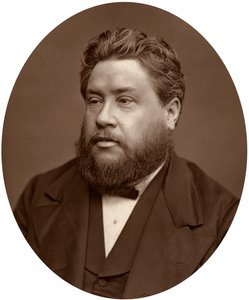 Wielebny Charles Haddon Spurgeon, pastor Metropolitan Tabernacle, 1880. autorstwa Lock and Whitfield