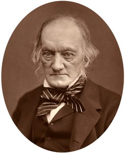 Richard Owen, 1878. autorstwa Lock and Whitfield