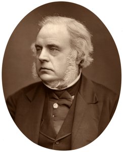 Prawy Hon John Bright, poseł z Birmingham, 1876. autorstwa Lock and Whitfield
