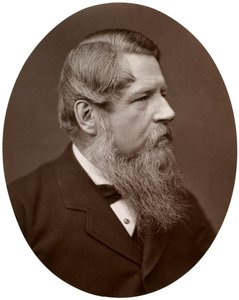 Szanowny Panie sir Stafford Henry Northcote, Bart, poseł, kanclerz skarbu, 1877. autorstwa Lock and Whitfield