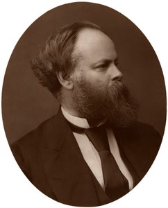 Samuel Plimsoll, Esq, poseł, brytyjski polityk liberalny i reformator społeczny, 1876. autorstwa Lock and Whitfield