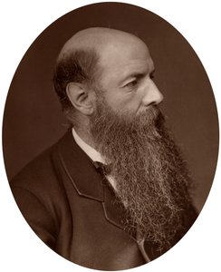 Sir Wilfrid Lawson, polityk, poseł do Carlisle, 1882. autorstwa Lock and Whitfield