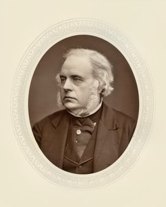 Jaśnie Wielmożny Pan John Bright autorstwa Lock and Whitfield