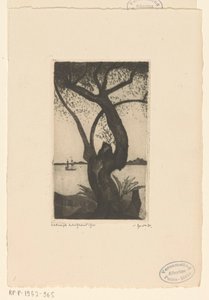 Drzewo oliwne na Korsyce Olivier, Corse (tytuł oryginalny) autorstwa Lodewijk Schelfhout (signed by artist)