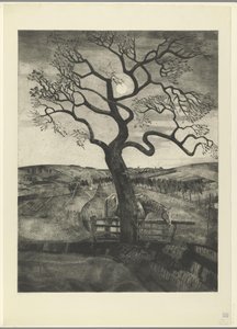 Koń na łące w pobliżu Etikhove Vieux cheval en repos (tytuł oryginalny) autorstwa Lodewijk Schelfhout (signed by artist)