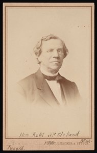 Portret Roberta McClellanda 1807-1880, 1870.