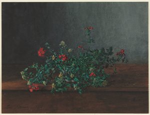 Martwa natura z dzikimi kwiatami autorstwa Léon Bonvin