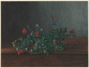 Martwa natura z dzikimi kwiatami, 1864. autorstwa Léon Bonvin