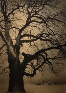 Léon Spilliaert (1881-1946) Drzewo w zimie Brafa 2019 31-01-2019 autorstwa Leon Spilliaert