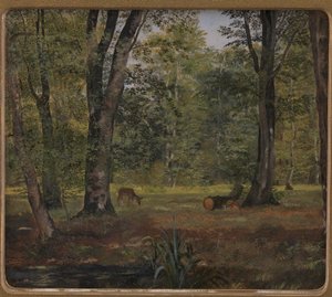 Las Charlottenlund, na północ od Kopenhagi