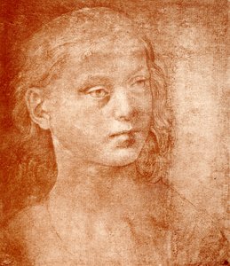 Głowa dziewczyny autorstwa Lorenzo di Credi