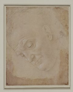 Portret łysego mężczyzny, zwróconego trzy czwarte w lewo ... autorstwa Lorenzo di Credi