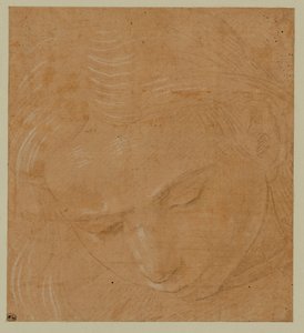 Portret młodego mężczyzny, patrzącego w dół ... autorstwa Lorenzo di Credi
