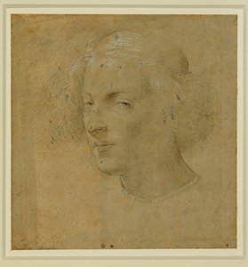 Portret młodego mężczyzny z ... autorstwa Lorenzo di Credi