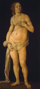 Wenus autorstwa Lorenzo di Credi