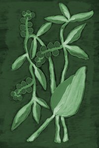Botaniczne odcienie zieleni