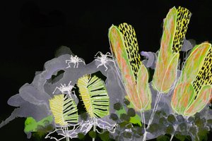 Świecący nocny ogród autorstwa Lori Ann Folz