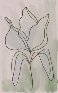 Minimalistyczny szkic botaniczny autorstwa Lori Ann Folz