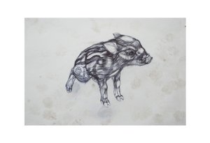 Mała Świnka, 2015, (biro biro na papierze) autorstwa Lou Gibbs