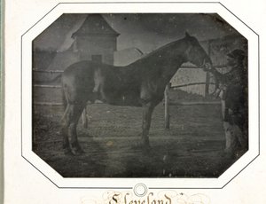 Cleveland autorstwa Louis Auguste Bisson
