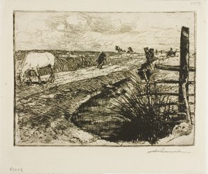 Droga w Marais, Wandea autorstwa Louis Auguste Lepère