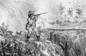 Zabiłem trzy... ryciny według rysunku pana de Sainsona do Księgi Daniela Defoe (De foe) „Robinson Crusoe”” wydanie francuskie z 1837 r.