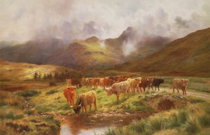 Highland pojechał w Strathfillan, Perthshire