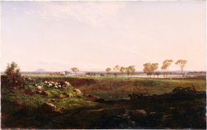 Szopka z wełną Mount Fyans Szopka z wełną w pobliżu Camperdown, 1869