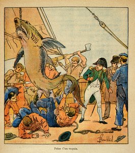 Ilustracja autorstwa Bombled Louis (1862-1927) z książki „Memoriał św. Heleny” hrabiego Emmanuela de Las Cases (1766-1842): Cesarz Napoleon uczestniczy w schwytaniu rekina na pokładzie Northumberland, kolekcja prywatna autorstwa Louis Charles Bombled