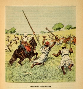 Wojna na Madagaskarze – anegdotyczna historia francuskich ekspedycji z lat 1885-1895 Henri Galli dit Galllichet (1854-1922), zilustrowana przez Louisa Bombleda (1862-1927): Polowanie na dzikie woły na Madagaskarze w 1895 roku, kolekcja prywatna autorstwa Louis Charles Bombled