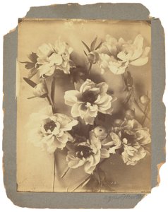 Tiffany Studios, ok. 1898-1920 (fotografia czarno-biała) autorstwa Louis Comfort Tiffany