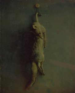 Lis, ca. 1870. autorstwa Louis Ducos du Hauron